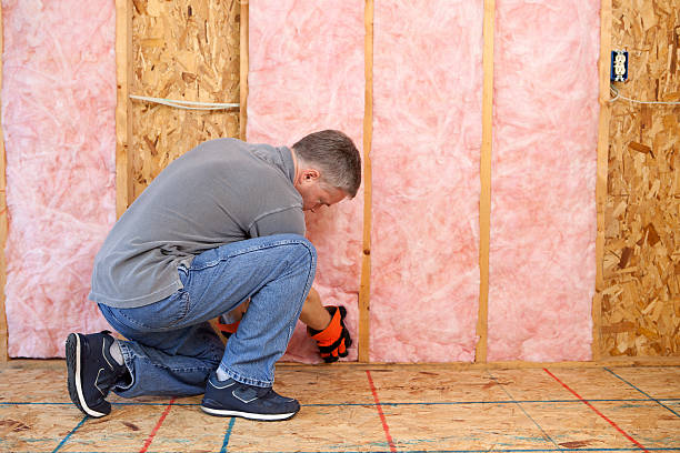 Best Wall Insulation Installation  in Quartz Hill, CA